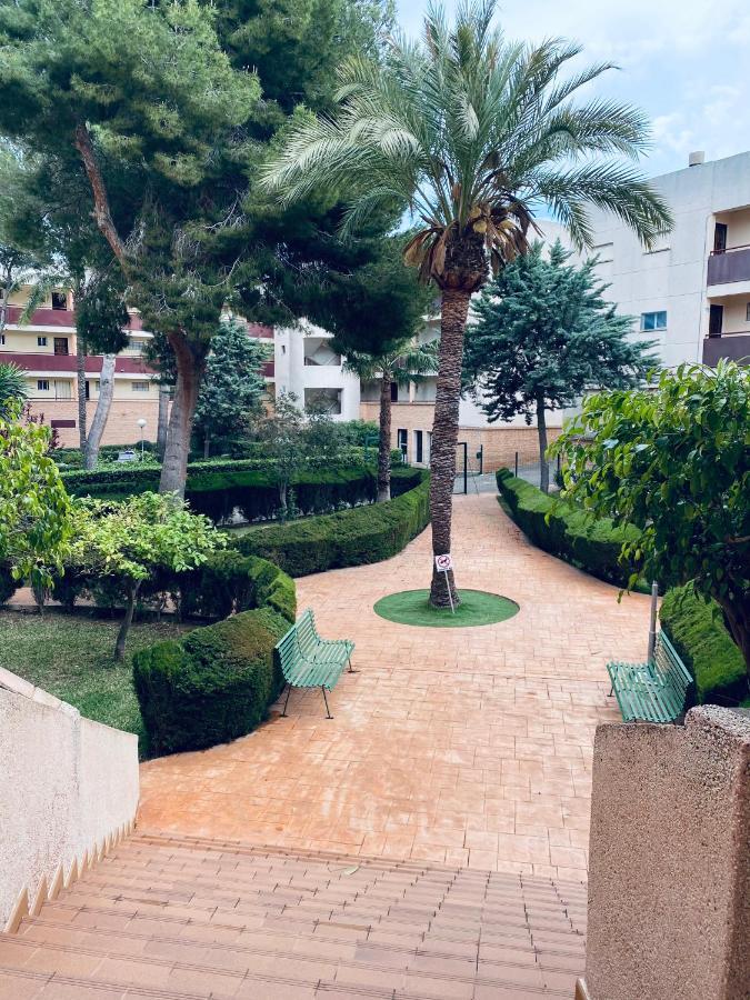 Apartamento Mil Palmeras Pilar de la Horadada Buitenkant foto